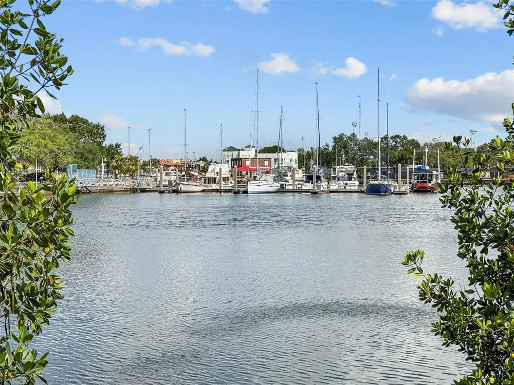91 DAVIS BOULEVARD #204 Tampa, FL 33606