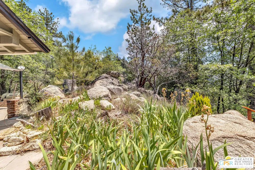 21395 Highway 243 Idyllwild, CA 92549
