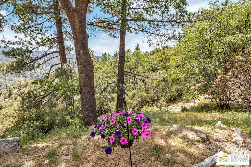 21395 Highway 243 Idyllwild, CA 92549