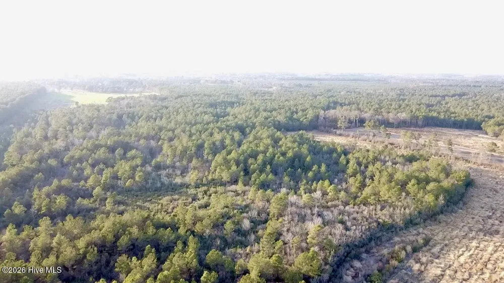 000 Rogers Mill Road Magnolia, NC 28458