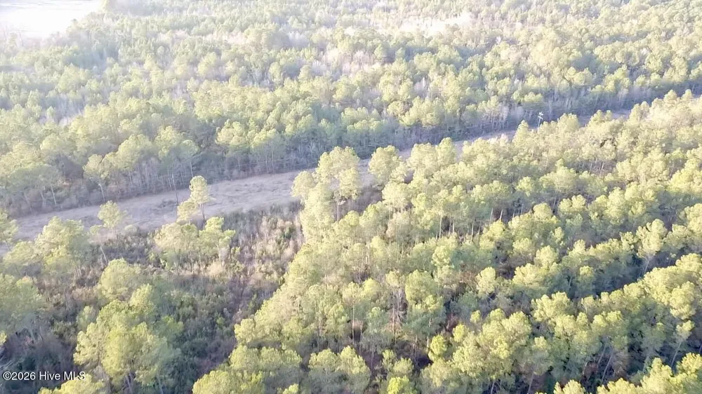 000 Rogers Mill Road Magnolia, NC 28458
