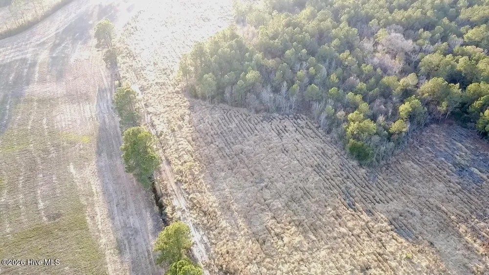 000 Rogers Mill Road Magnolia, NC 28458