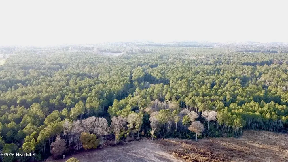 000 Rogers Mill Road Magnolia, NC 28458