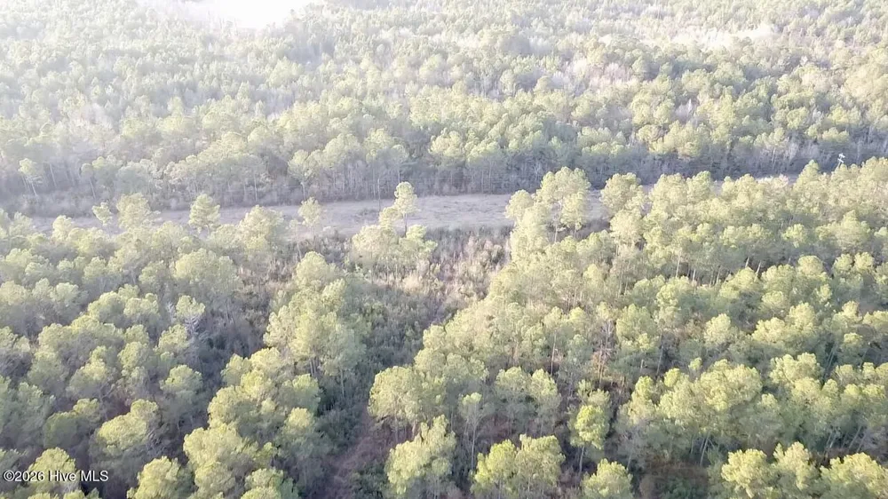 000 Rogers Mill Road Magnolia, NC 28458