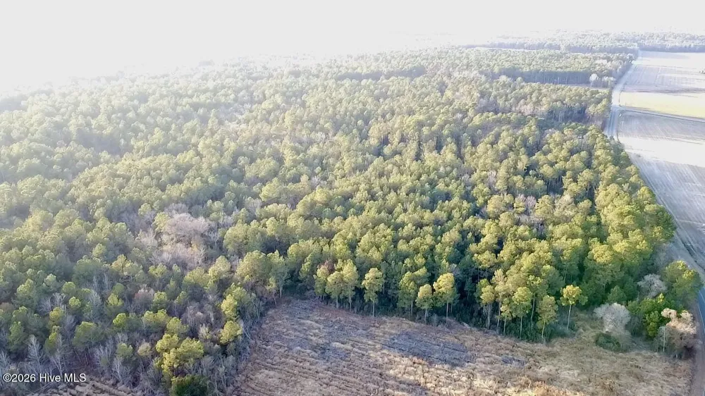000 Rogers Mill Road Magnolia, NC 28458