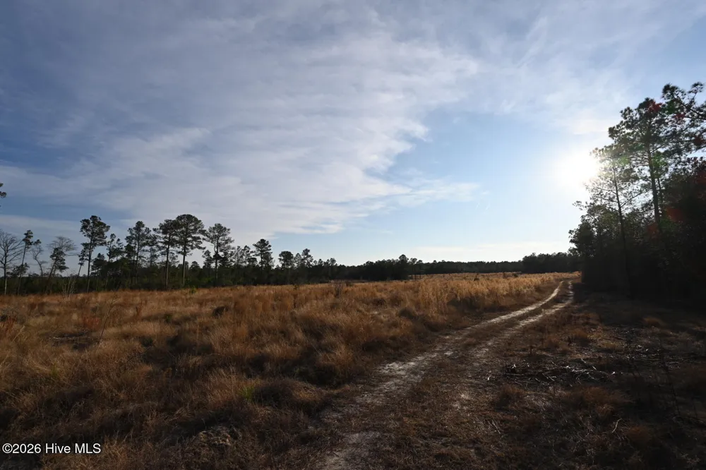 000 Rogers Mill Road Magnolia, NC 28458