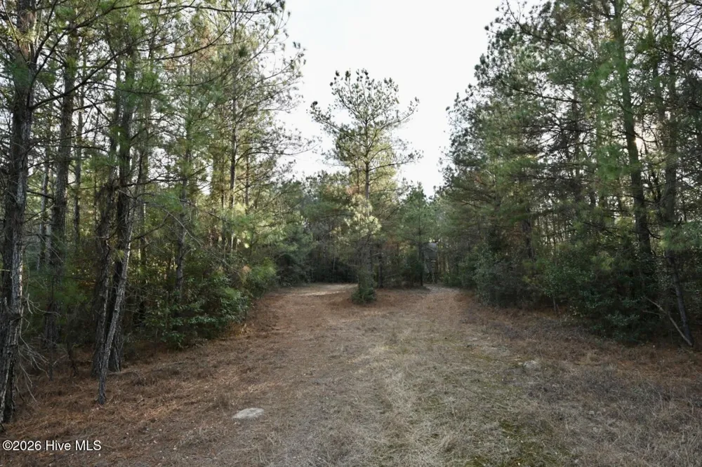000 Rogers Mill Road Magnolia, NC 28458