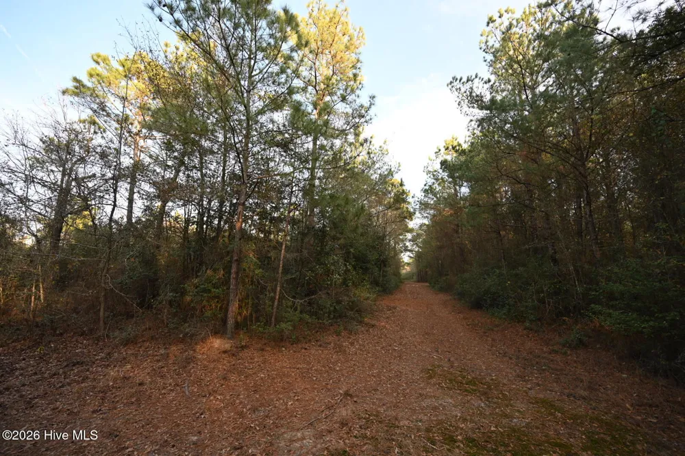 000 Rogers Mill Road Magnolia, NC 28458