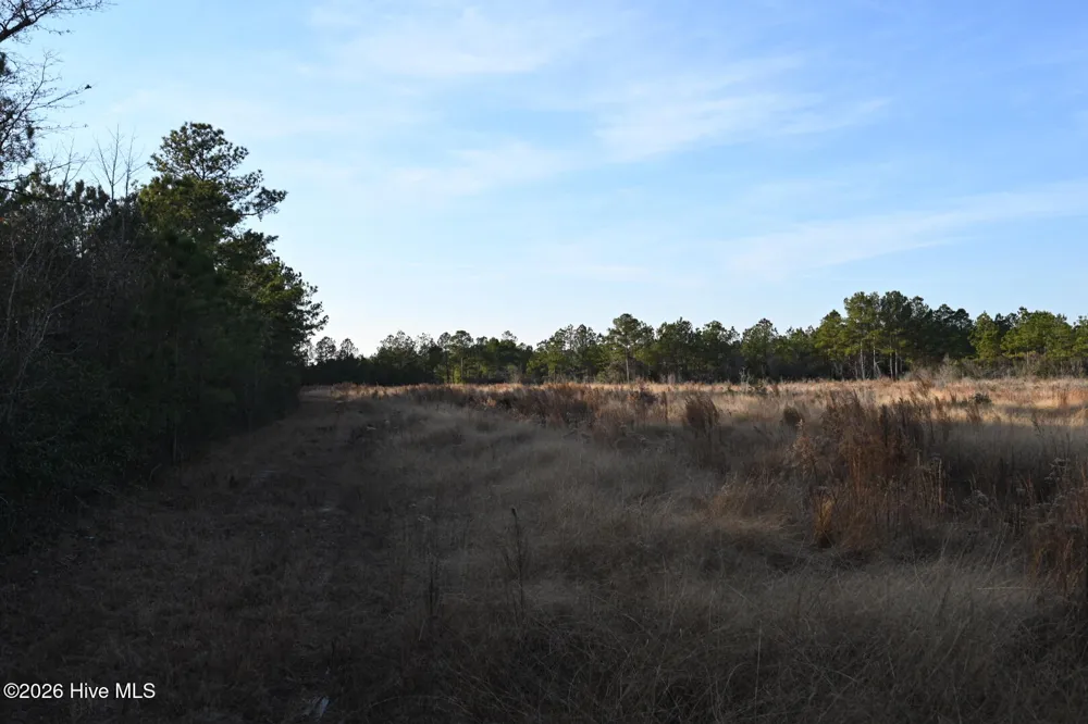 000 Rogers Mill Road Magnolia, NC 28458