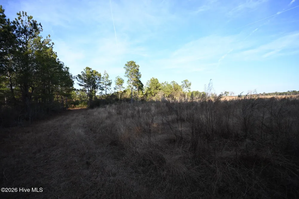 000 Rogers Mill Road Magnolia, NC 28458