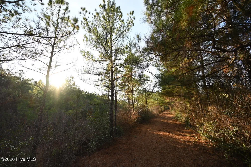 000 Rogers Mill Road Magnolia, NC 28458