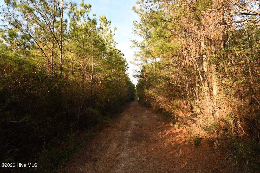000 Rogers Mill Road Magnolia, NC 28458