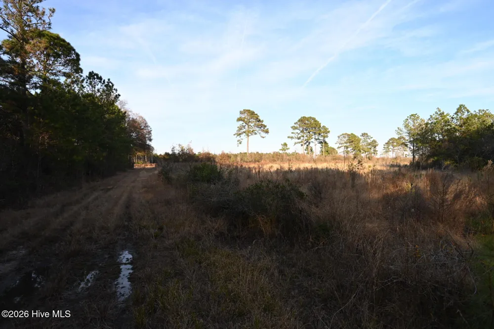 000 Rogers Mill Road Magnolia, NC 28458