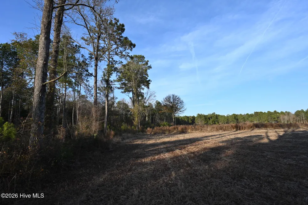 000 Rogers Mill Road Magnolia, NC 28458