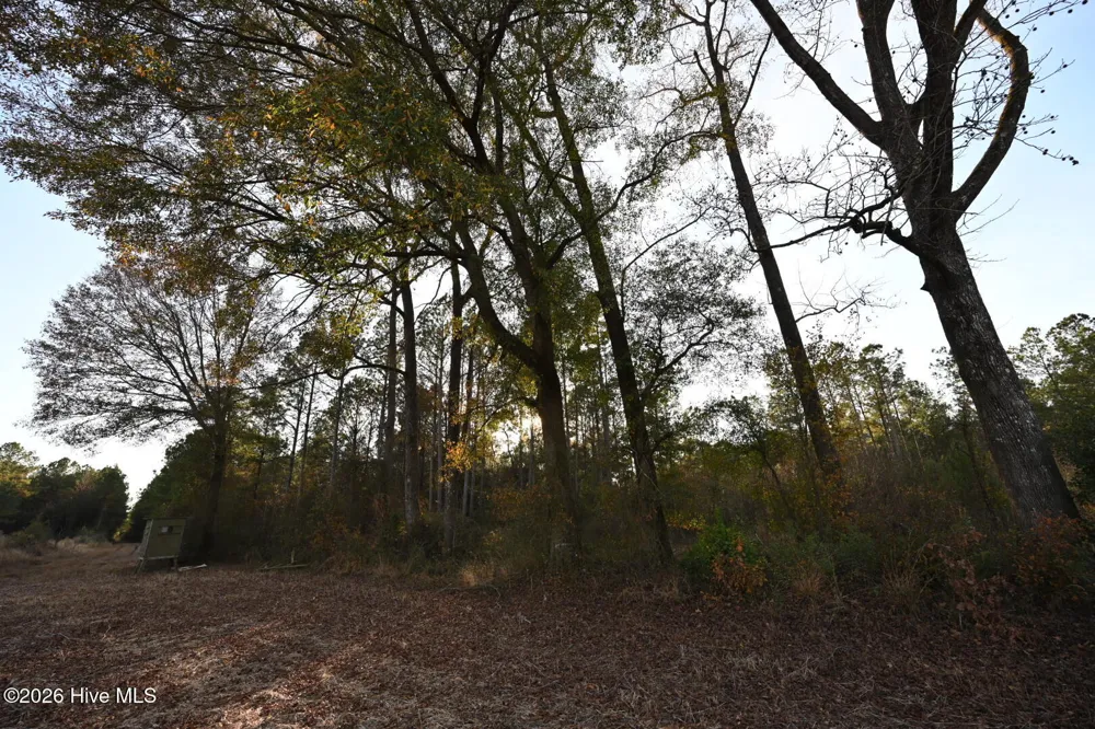 000 Rogers Mill Road Magnolia, NC 28458