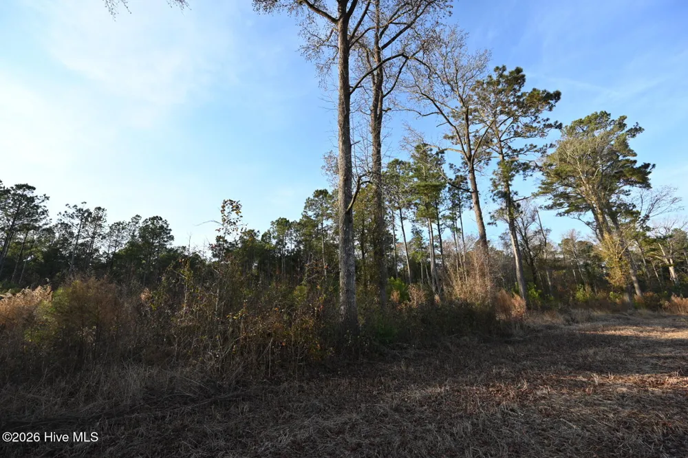 000 Rogers Mill Road Magnolia, NC 28458