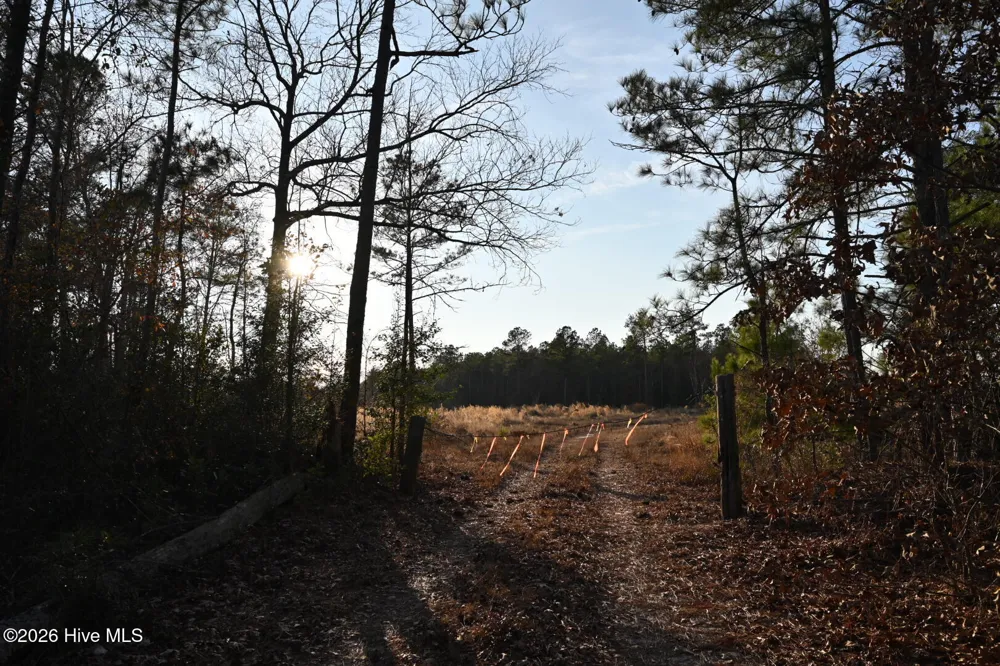 000 Rogers Mill Road Magnolia, NC 28458