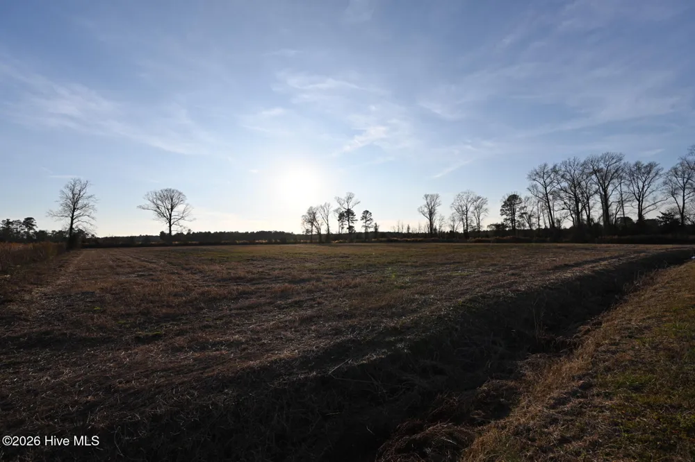000 Rogers Mill Road Magnolia, NC 28458