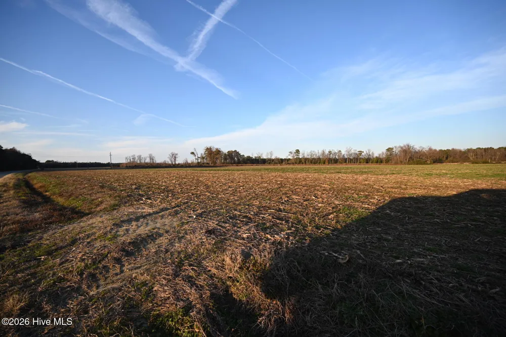 000 Rogers Mill Road Magnolia, NC 28458