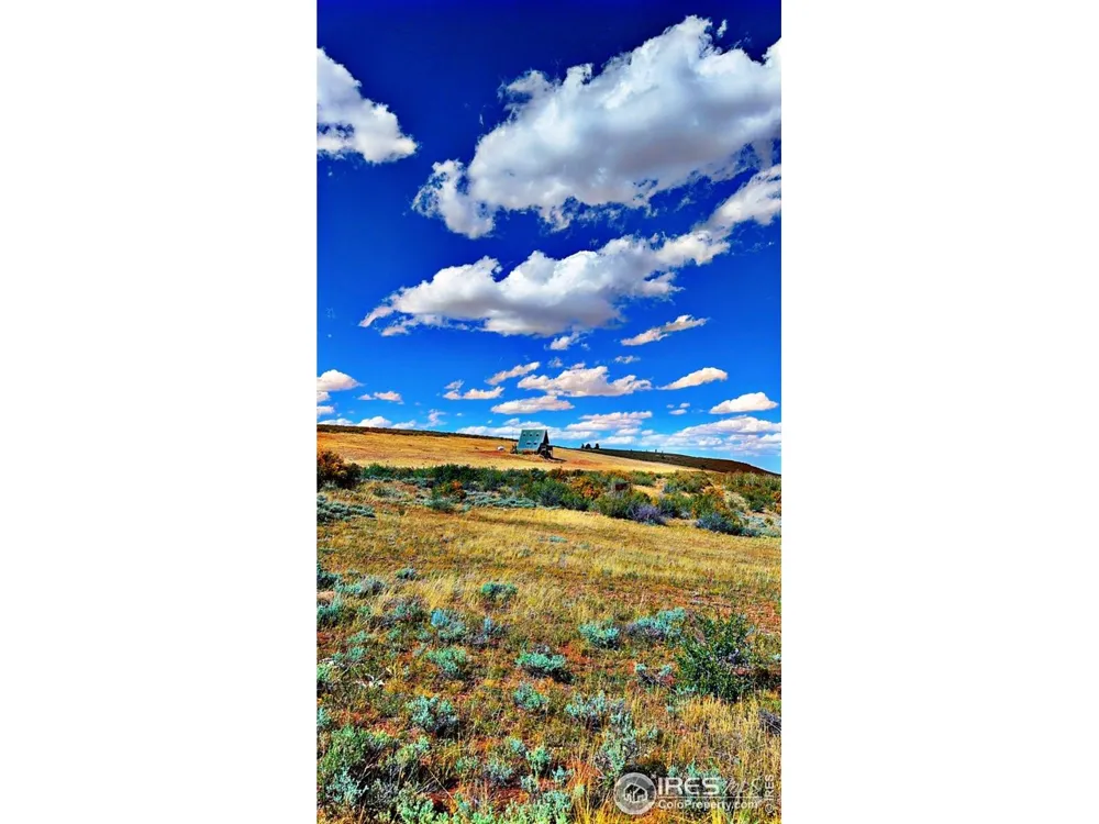 867 Windy Ridge Road Red Feather Lakes, CO 80545