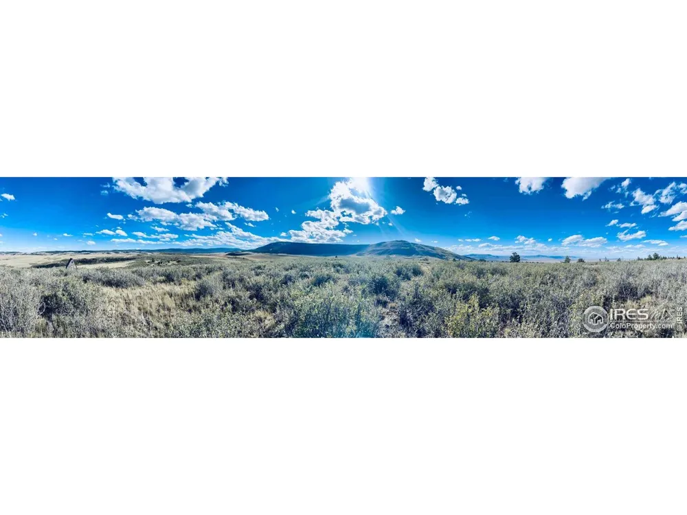 867 Windy Ridge Road Red Feather Lakes, CO 80545