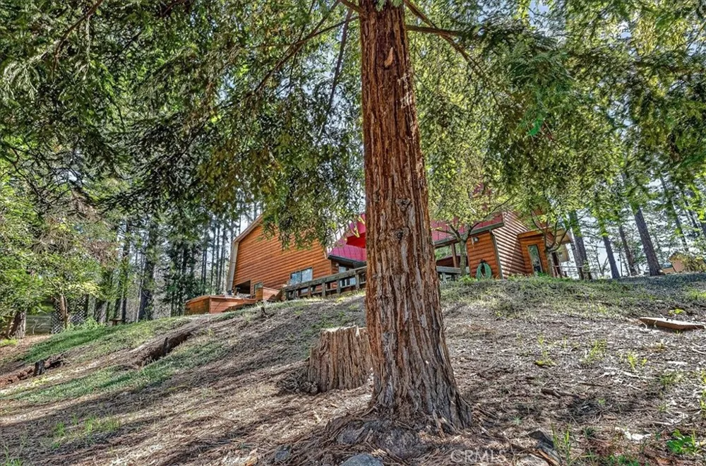 16 Mendocino Chico, CA 95973