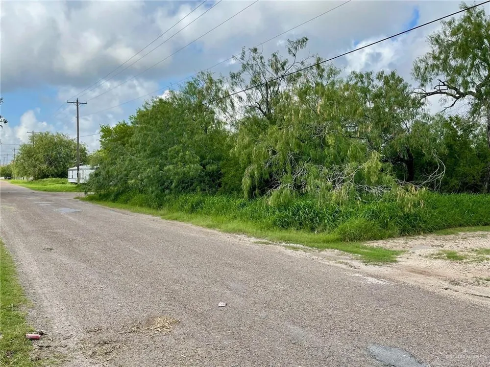 TBD Palm Street Progreso, TX 78570