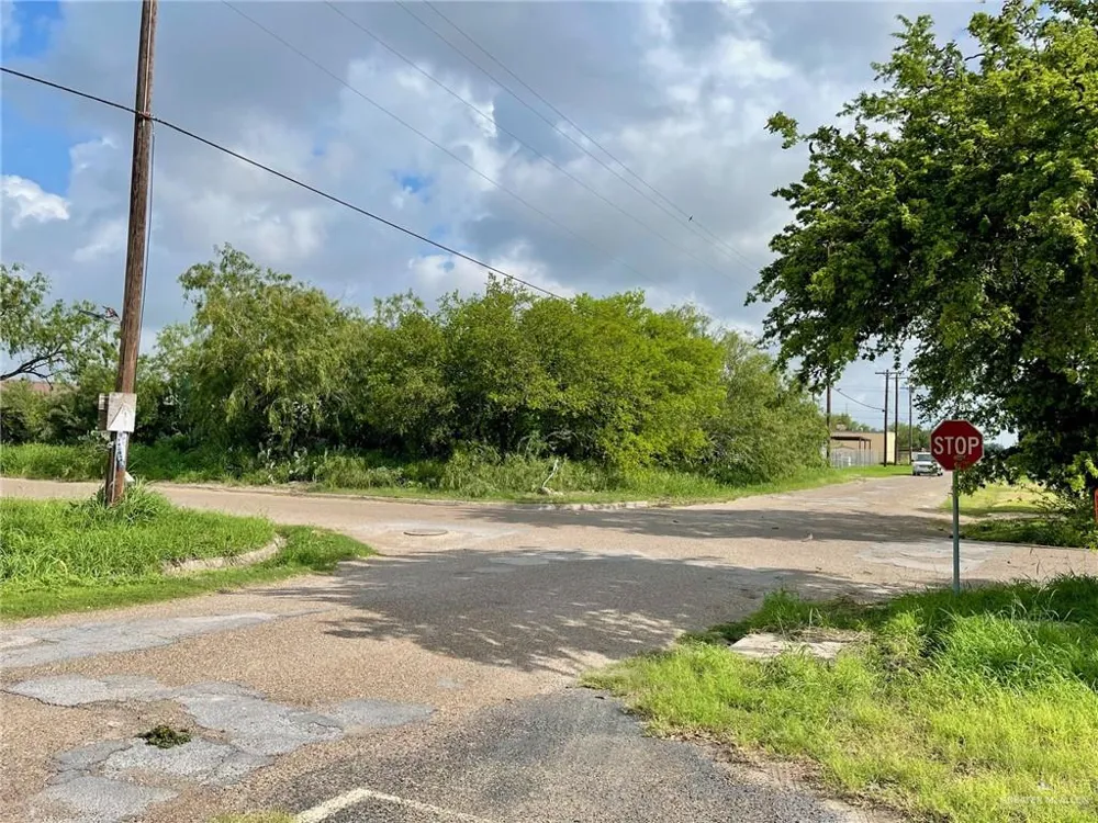 TBD Palm Street Progreso, TX 78570