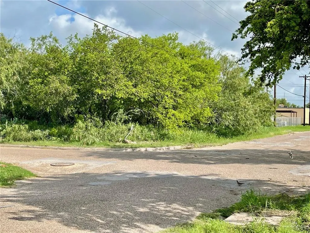 TBD Palm Street Progreso, TX 78570
