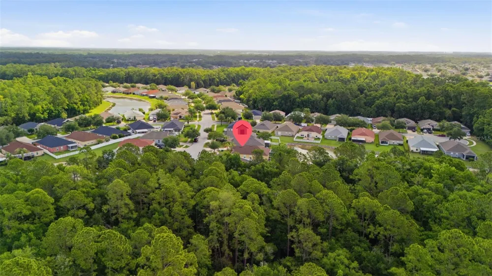 25114 LEXINGTON OAKS BOULEVARD Wesley Chapel, FL 33544