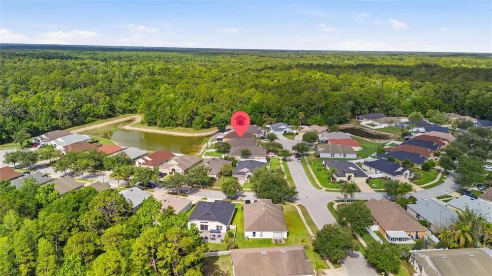 25114 LEXINGTON OAKS BOULEVARD Wesley Chapel, FL 33544