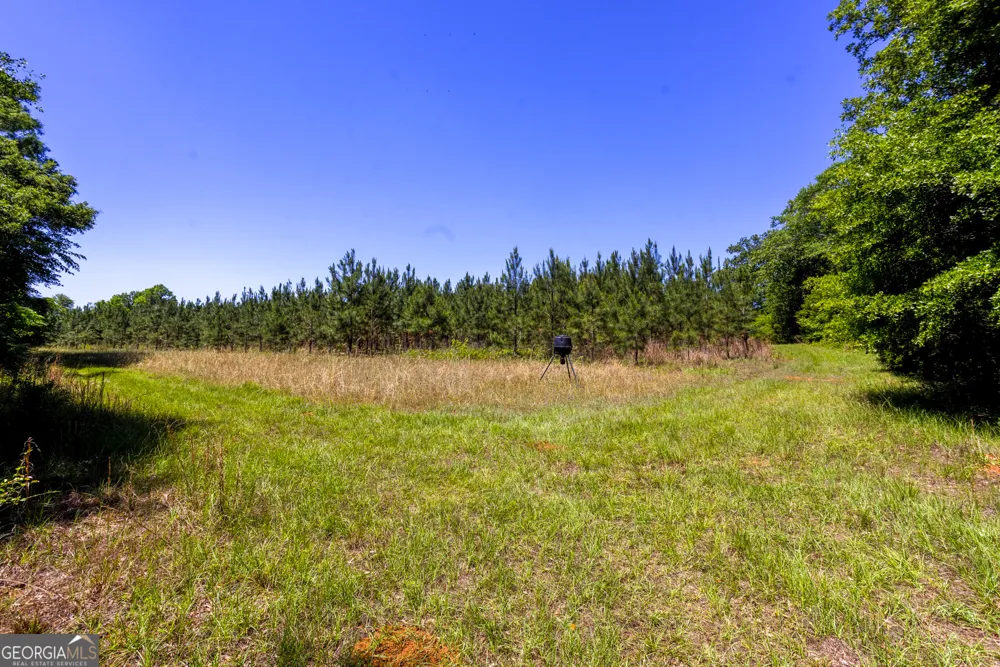 246 Melton Mill RD Dawson, GA 39842