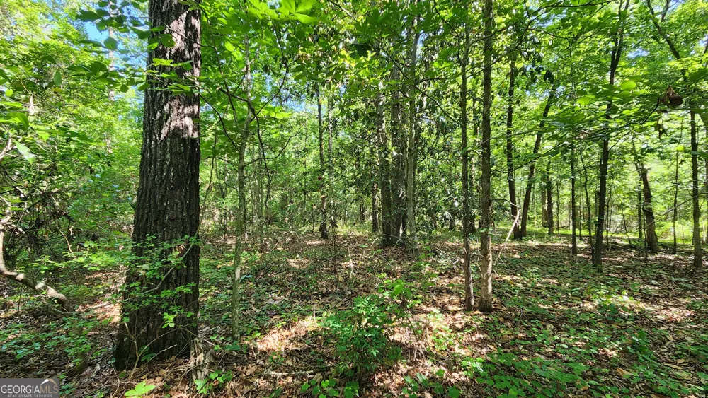 246 Melton Mill RD Dawson, GA 39842