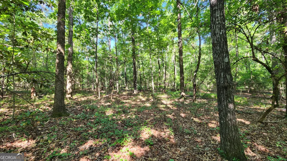 246 Melton Mill RD Dawson, GA 39842
