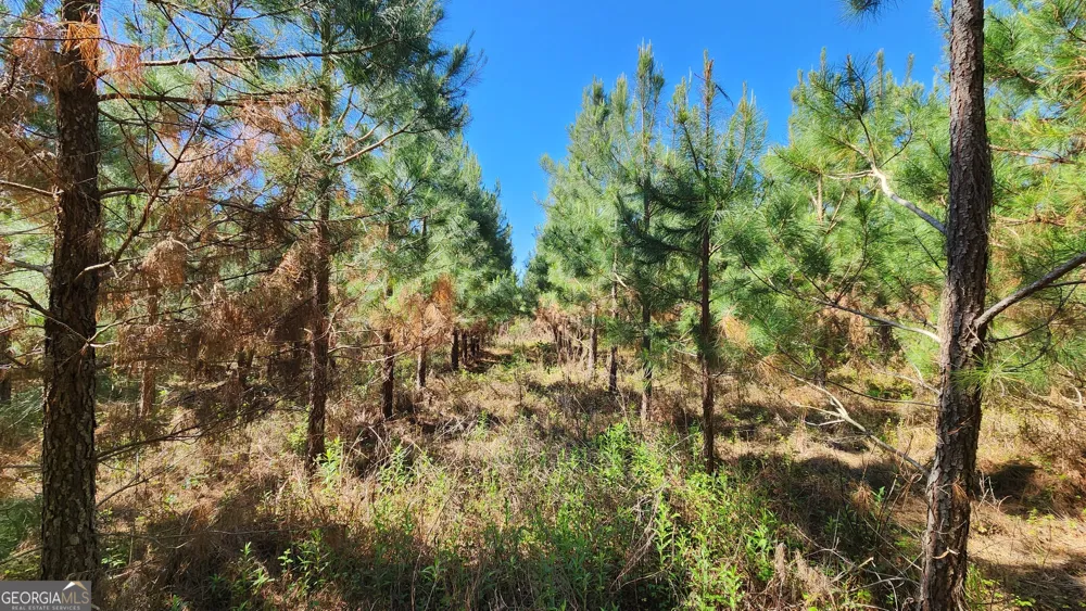 246 Melton Mill RD Dawson, GA 39842