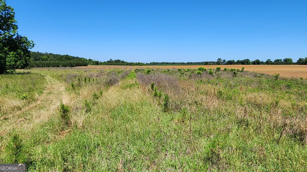 246 Melton Mill RD Dawson, GA 39842