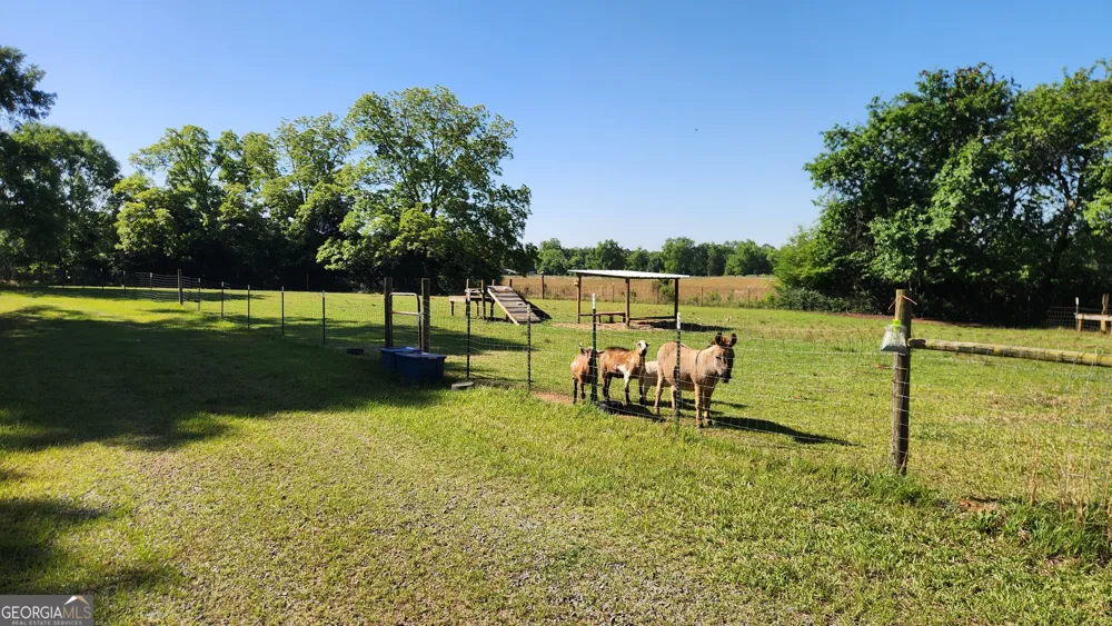 246 Melton Mill RD Dawson, GA 39842