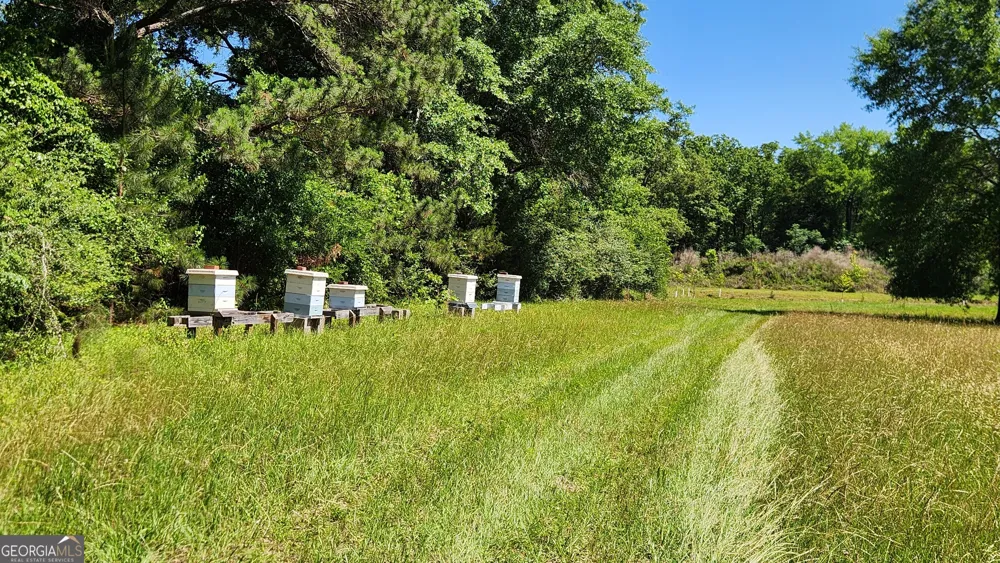 246 Melton Mill RD Dawson, GA 39842