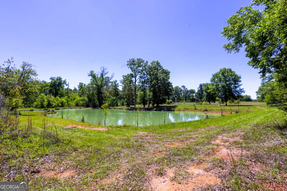 246 Melton Mill RD Dawson, GA 39842