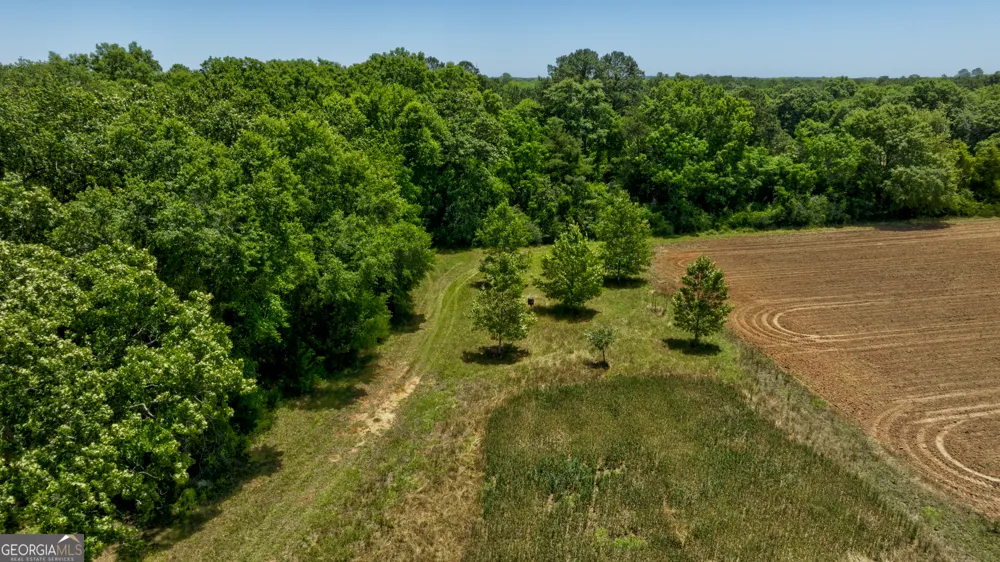 246 Melton Mill RD Dawson, GA 39842