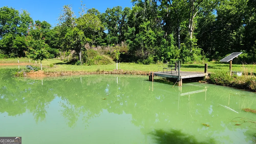 246 Melton Mill RD Dawson, GA 39842