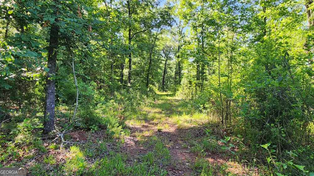 246 Melton Mill RD Dawson, GA 39842