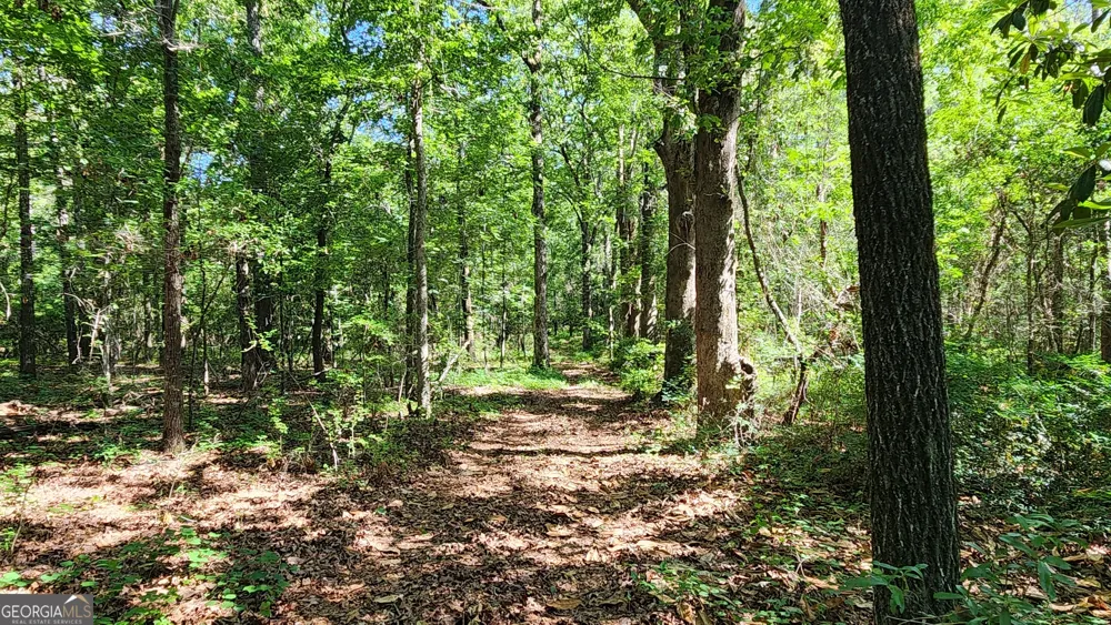 246 Melton Mill RD Dawson, GA 39842