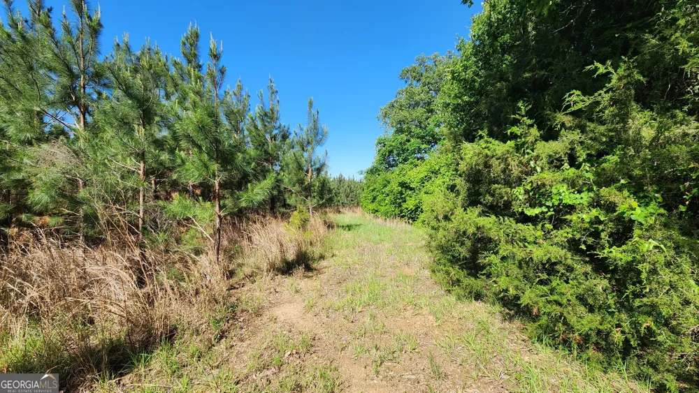 246 Melton Mill RD Dawson, GA 39842
