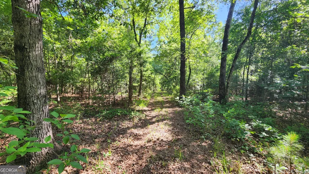 246 Melton Mill RD Dawson, GA 39842