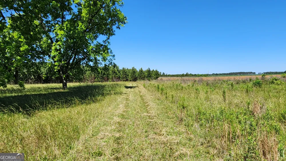 246 Melton Mill RD Dawson, GA 39842