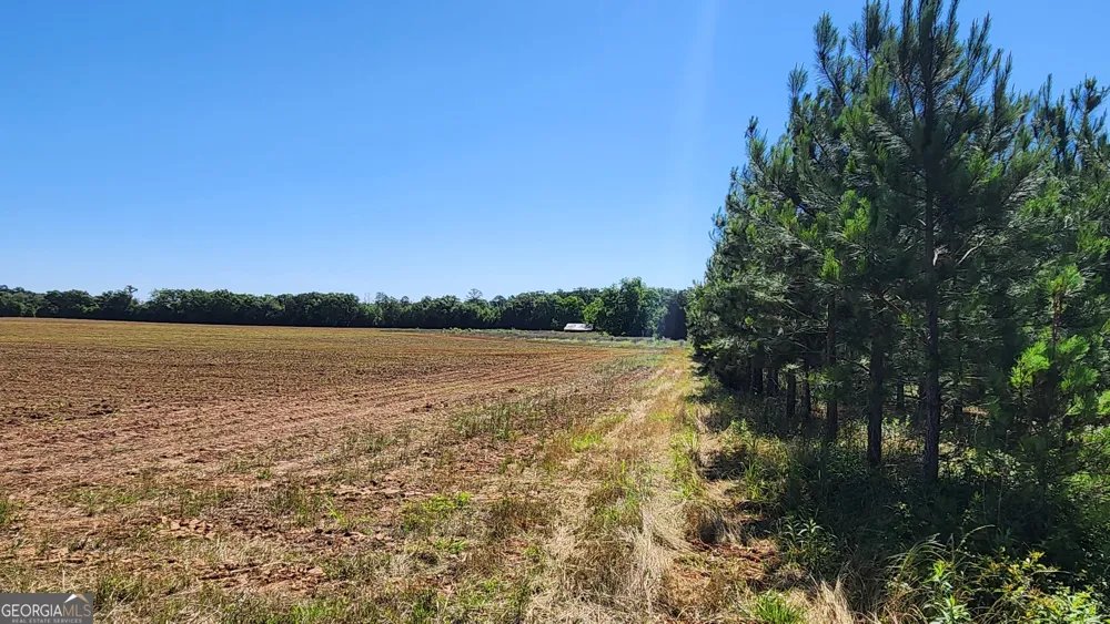 246 Melton Mill RD Dawson, GA 39842