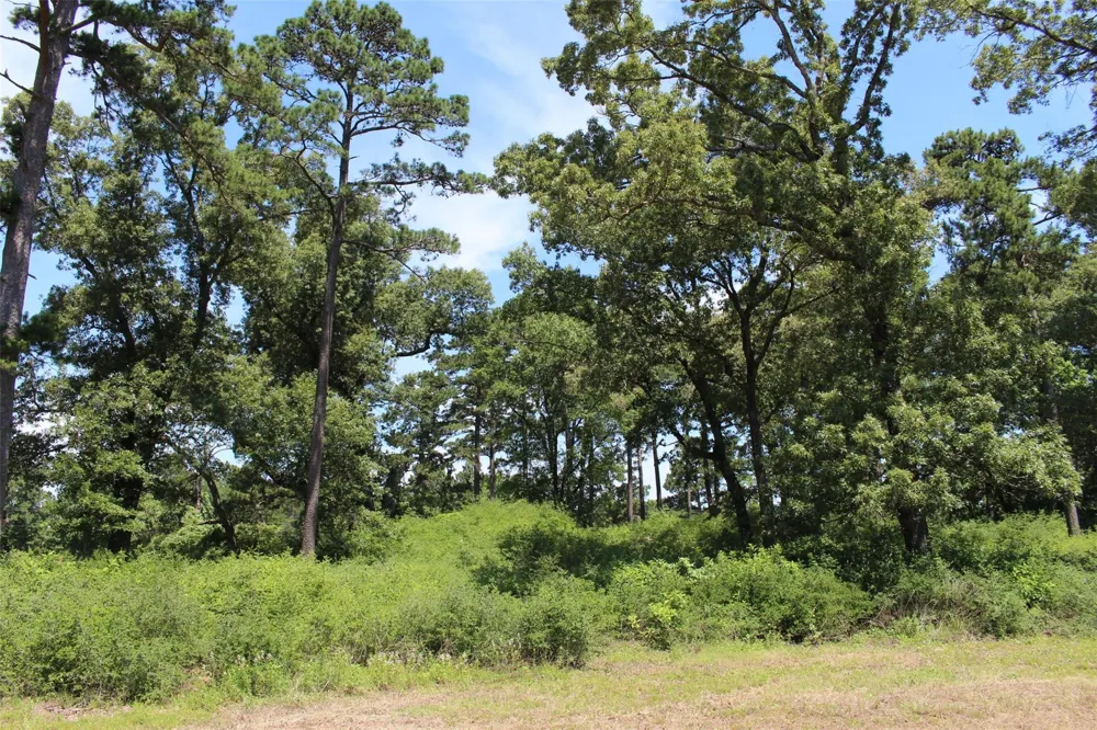 16 Pr 1313 Centerville, TX 75833