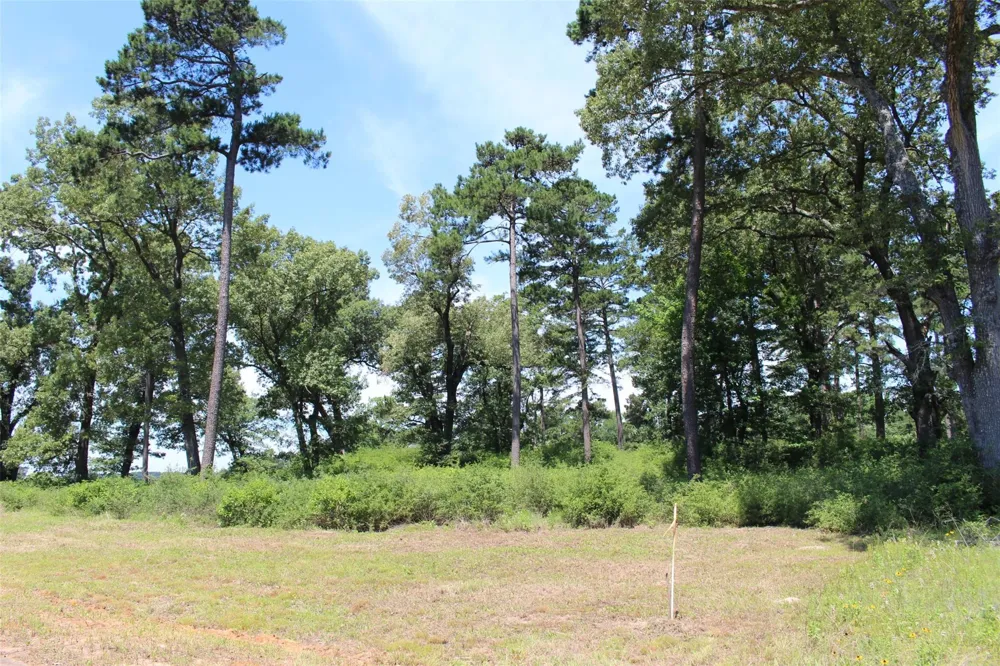16 Pr 1313 Centerville, TX 75833