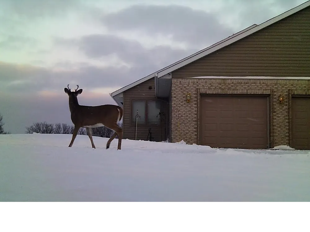 19800 Stephan Drive Starbuck, MN 56381
